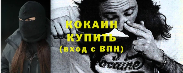соль ск Алзамай